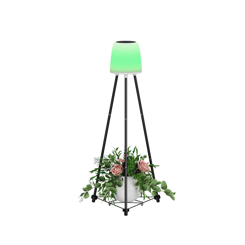 0.2W Lampu Dekorasi Natal Solar 0.3kg Inner Box Ukuran 22*20*40.5CM G.W 1.9KG