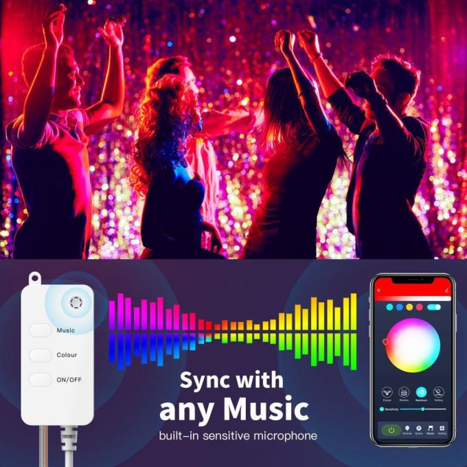USB Bluetooth WiFi Remote Colourful Globe Lights Decorative LED Lights