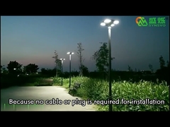 Lampu Jalan Tenaga Surya LED Semanggi Tahan Air Luar Ruangan Terdaftar Baru Lampu Taman Sensor Tenaga Surya